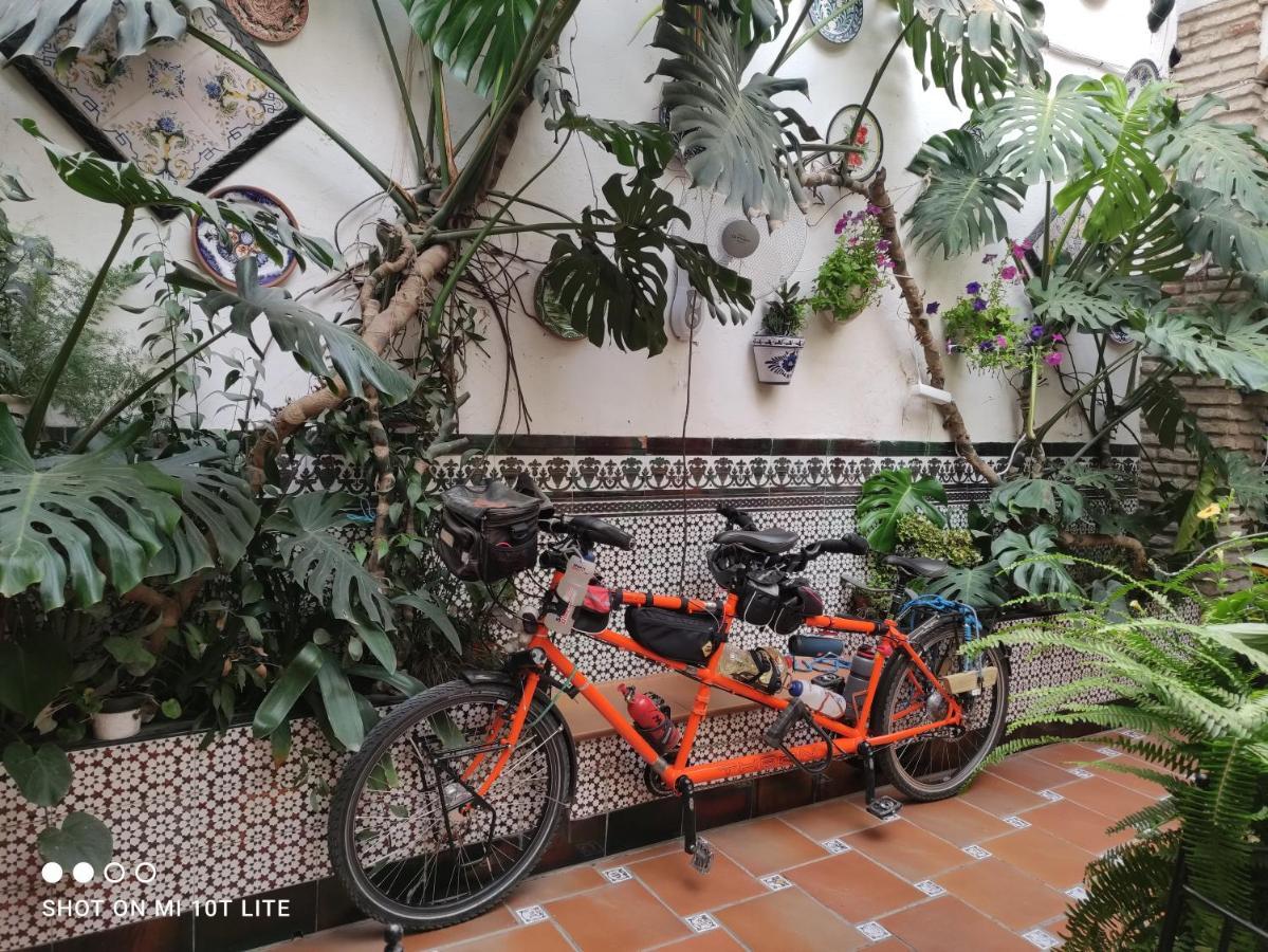 Pension Los Arcos Cordoba Exterior photo