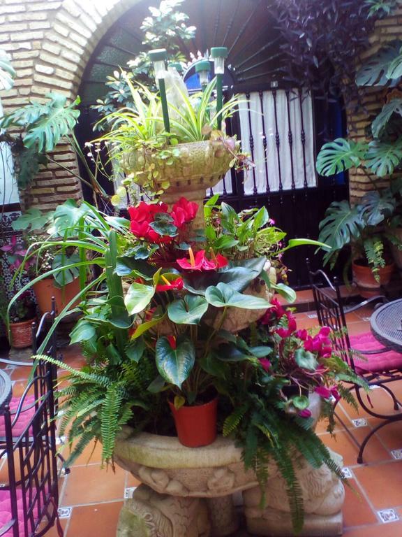 Pension Los Arcos Cordoba Exterior photo