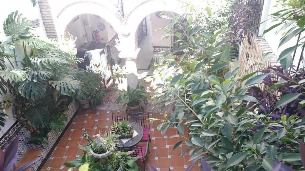 Pension Los Arcos Cordoba Exterior photo
