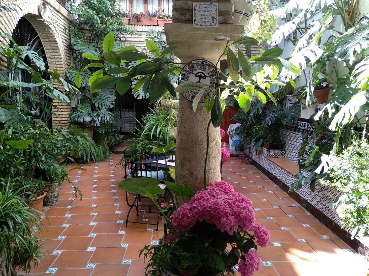 Pension Los Arcos Cordoba Exterior photo