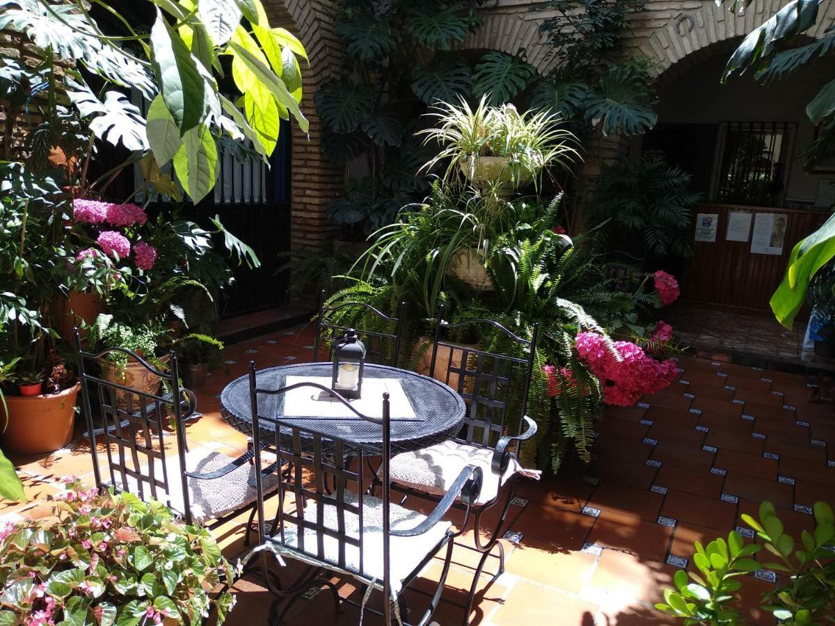 Pension Los Arcos Cordoba Exterior photo