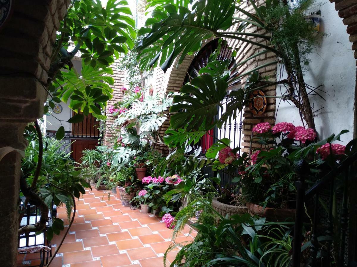 Pension Los Arcos Cordoba Exterior photo
