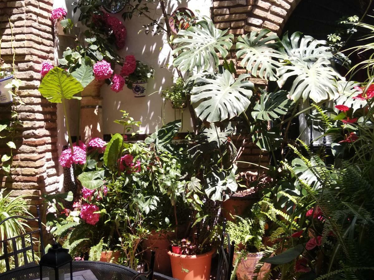 Pension Los Arcos Cordoba Exterior photo